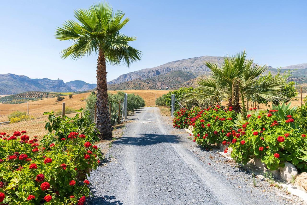 Alojamiento Rural La Era Del Quinto Bermejo Εξωτερικό φωτογραφία